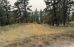Antelope Drive, Columbus, MT 59019