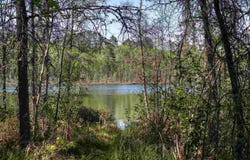 9064 Peppard Road, Britt, MN 55710-0000