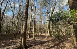 830 Stoddard Dr., Wetumpka, AL 36093