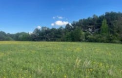 001 Hindman Rd, Hodges, AL 35571