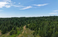 Highway 11, Weippe, ID 83553
