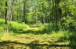 12172 Rt. 23, Ashland, NY 12407