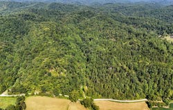 Hogskin Road, Manchester, KY 40962