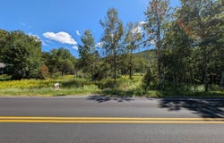 L19.11 South St, Windham, NY 12496