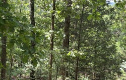 Pr Off Ridge Haven, Mammoth Spring, AR 72554