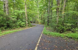 165 Lail Lane, Townsend, TN 37882