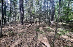 Whiteport Rd, Kingston, NY 12401