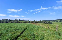 Floyd Highway lot: 3, Floyd, VA 24091