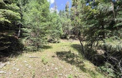 Raspberry Hill Rd, Cloudcroft, NM 88317