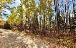 County Road 303, Deer River, MN 56636