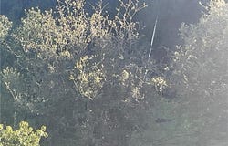 67034 Paulsen, Lockwood, CA 93932