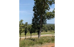 16416 Ridgeline Loop, Winona, TX 75792