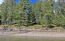 716 Echo Lake Road, Bigfork, MT 59911