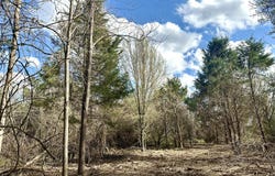 Mack Road lot: 3, Nixa, MO 65714