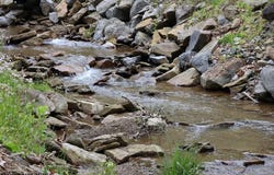 965 Evans Run Road, Elkins, WV 26241