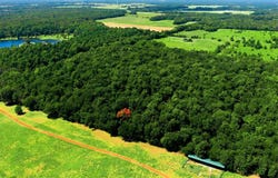 CR 3613, Murchison, TX 75758