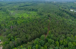 331 Potts Pond Road, Barnesville, GA 30204