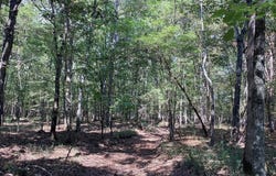 Boswell Road, Okolona, AR 71962