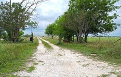 1335 N GABLE RD, St Hedwig, TX 78152