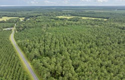 Stilley Town Road, Edward, NC 27821