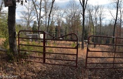 566 William Branch Rd, Lancing, TN 37770
