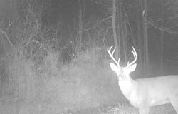 748 Twp. Rd. 150, Sullivan, OH 44880