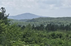 Owl Ridge Way, Sunbright, TN 37872