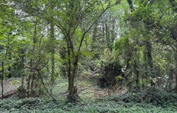 Turnbull Drive, Rome, GA 30161