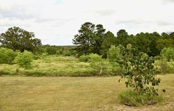 5883 FM 328, Huntington, TX 75949