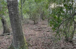 Highland Rd, Slocomb, AL 36375
