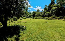 169 E Vineyard Road, Hayesville, NC 28904