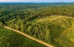 Parcel 1 County Road 600, Walnut, MS 38683