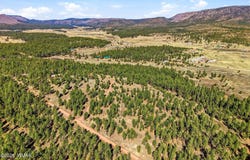 N2147, Alpine, AZ 85920