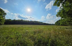 State Highway Mm, Niangua, MO 65713