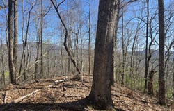 Brasstown Road, Cullowhee, NC 28723