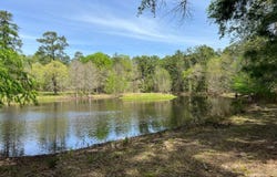 9296 Cr302, Plantersville, TX 77363