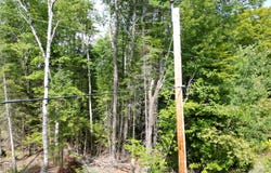 River Road lot: 5, Maxfield, ME 04453