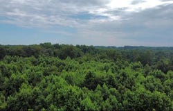 Willard Road, Staley, NC 27355