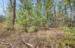 V/L Newbern Blvd, Baldwin, MI 49304