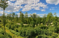 Whipples Way lot: 6, Tamworth, NH 03817