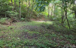 Creekside Drive, Maggie Valley, NC 28751