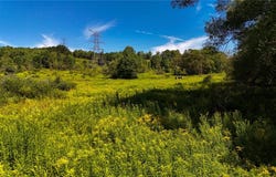 6 County Highway 12, Laurens, NY 13796