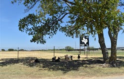 3073 Fm 933, Whitney, TX 76692