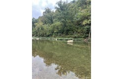 County Road 169, Brixey, MO 65618