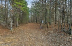 Lone Wolf Trail lot: 1, Spencer, TN 38585
