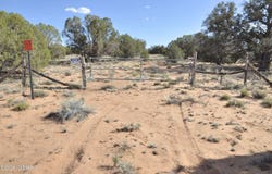 176 CR N5549, Concho, AZ 85924