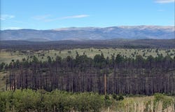 696 NM Highway 94, Rociada, NM 87742