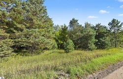V/L Elliott Road, Buckley, MI 49620