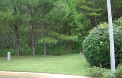 Covington Way, Lanett, AL 36863