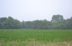 500 S RANDALL Road, Elgin, IL 60123